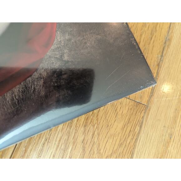 The Warning Queen Of The Murder Scene Vinyl 2xLP Sealed Rare Ale Pau Dany - Picture 11 of 11